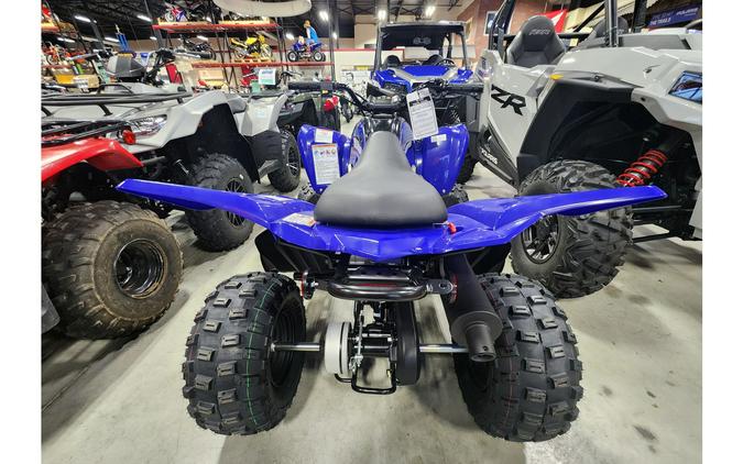 2024 Yamaha RAPTOR 110