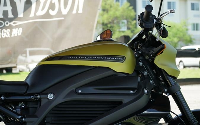 2020 Harley-Davidson LiveWire