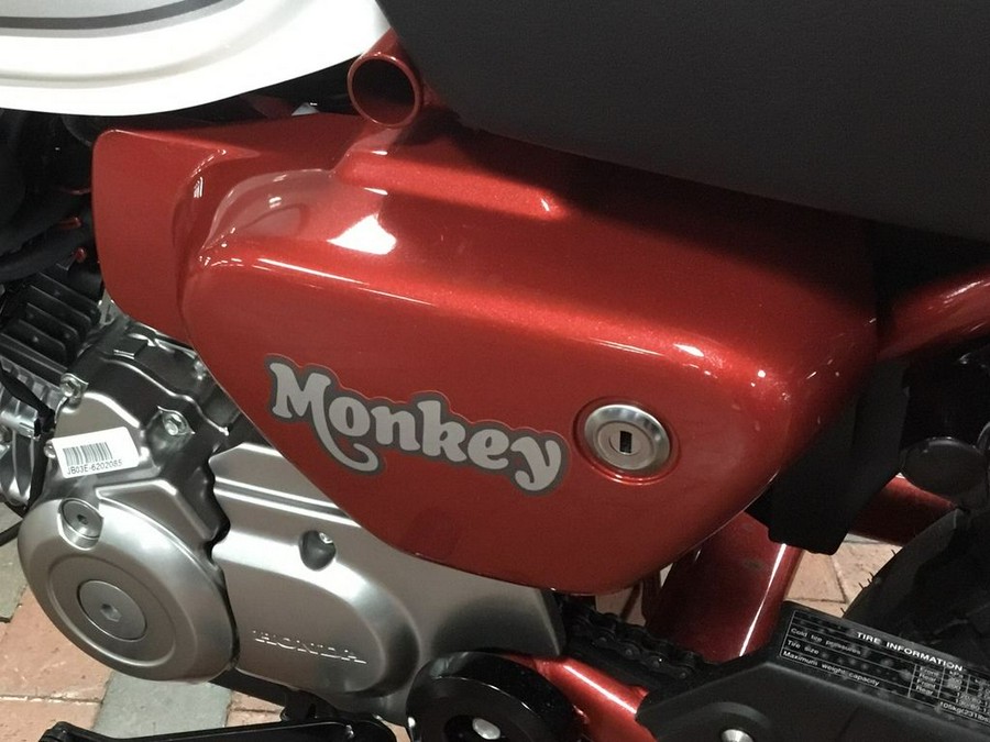 2024 Honda® Monkey