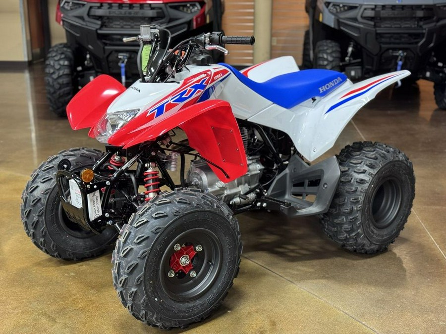 2026 Honda® TRX250X