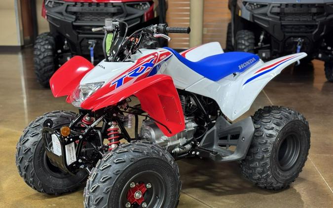 2026 Honda® TRX250X