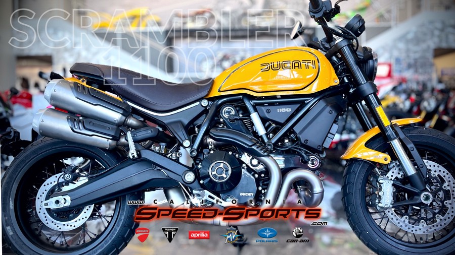 2023 Ducati Scrambler 1100 Tribute PRO