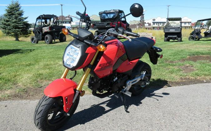 2025 Honda® Grom