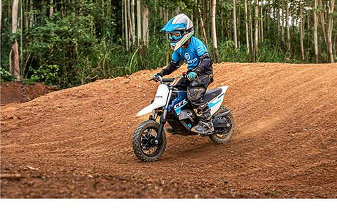 2024 CFMOTO CFX-2E