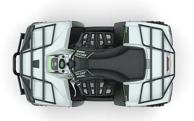 2022 Arctic Cat Alterra 600 XT