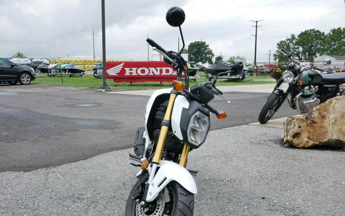 2025 Honda Grom