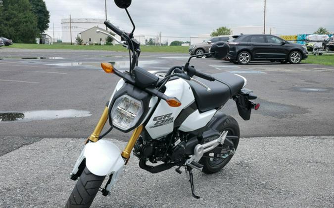 2025 Honda Grom