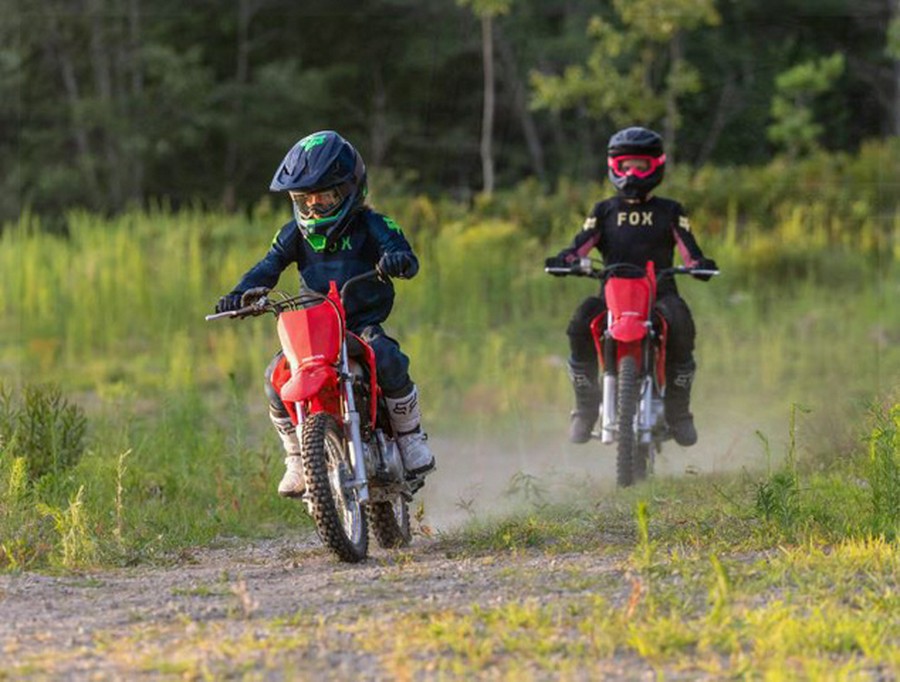 2027 Honda CRF 110F