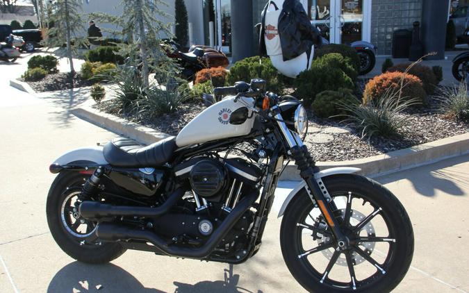 2022 Harley-Davidson Iron 883 White Sand Pearl