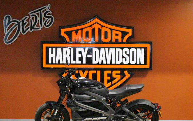 2020 Harley-Davidson® ELW - LiveWire™