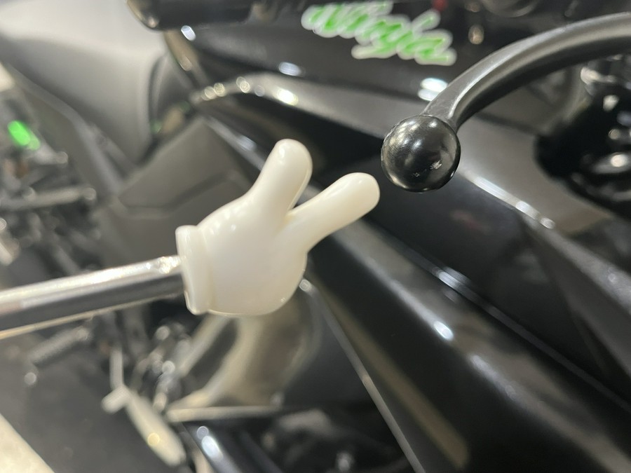 2015 Kawasaki Ninja® 1000 ABS