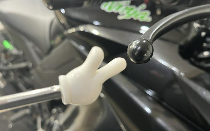 2015 Kawasaki Ninja® 1000 ABS