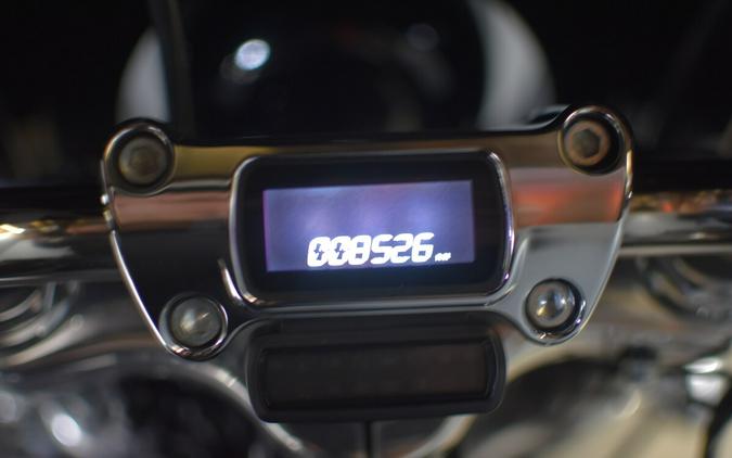 2023 Harley-Davidson Softail Standard