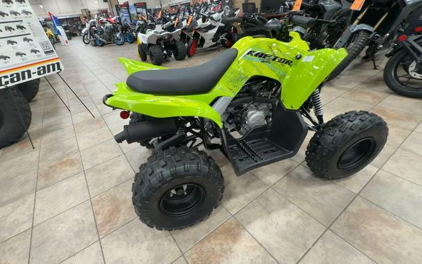 2026 Yamaha RAPTOR 110