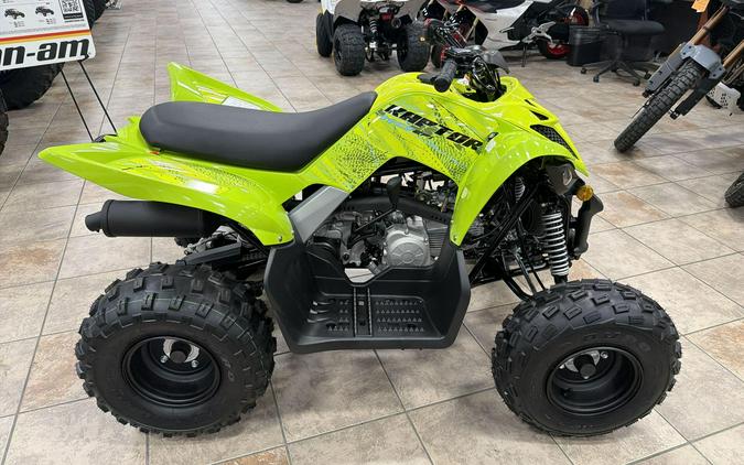 2026 Yamaha RAPTOR 110