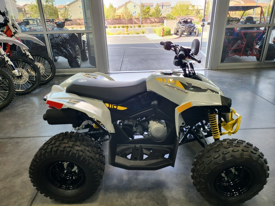 2024 Can-Am Renegade 110 EFI