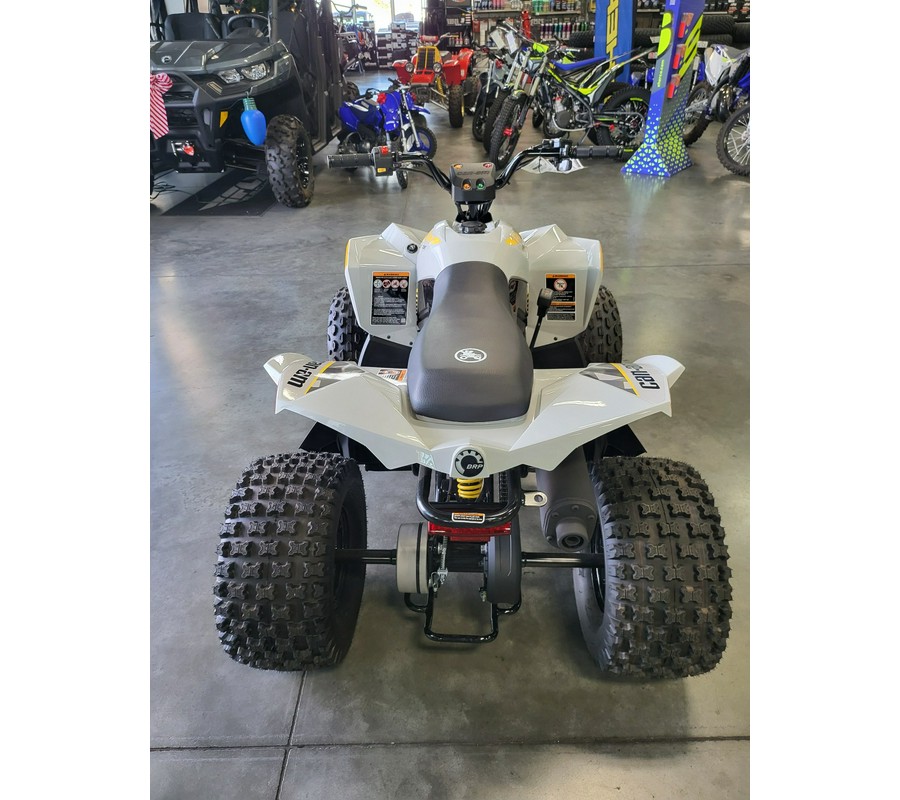 2024 Can-Am Renegade 110 EFI