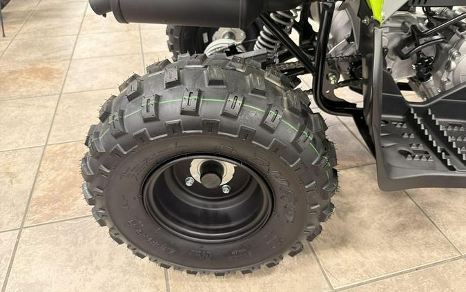 2026 Yamaha RAPTOR 110