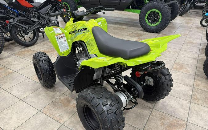 2026 Yamaha RAPTOR 110
