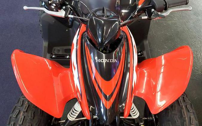 2024 Honda® TRX90XR