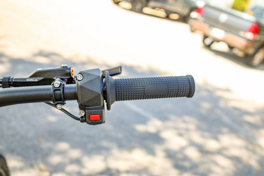 2025 79 BIKE FALCON PRO