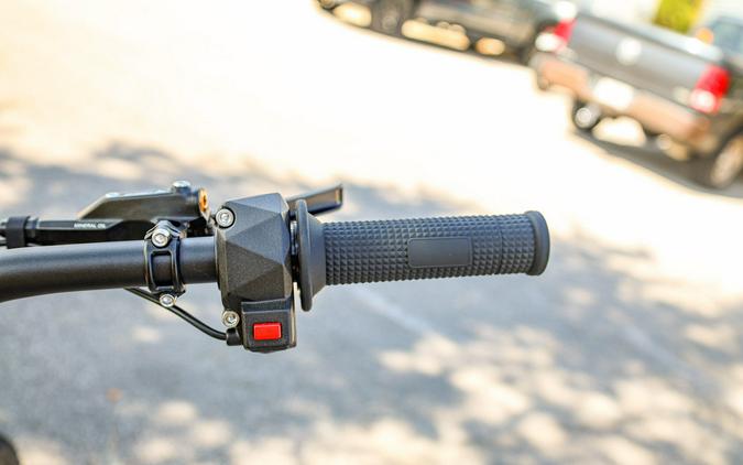 2025 79 BIKE FALCON PRO