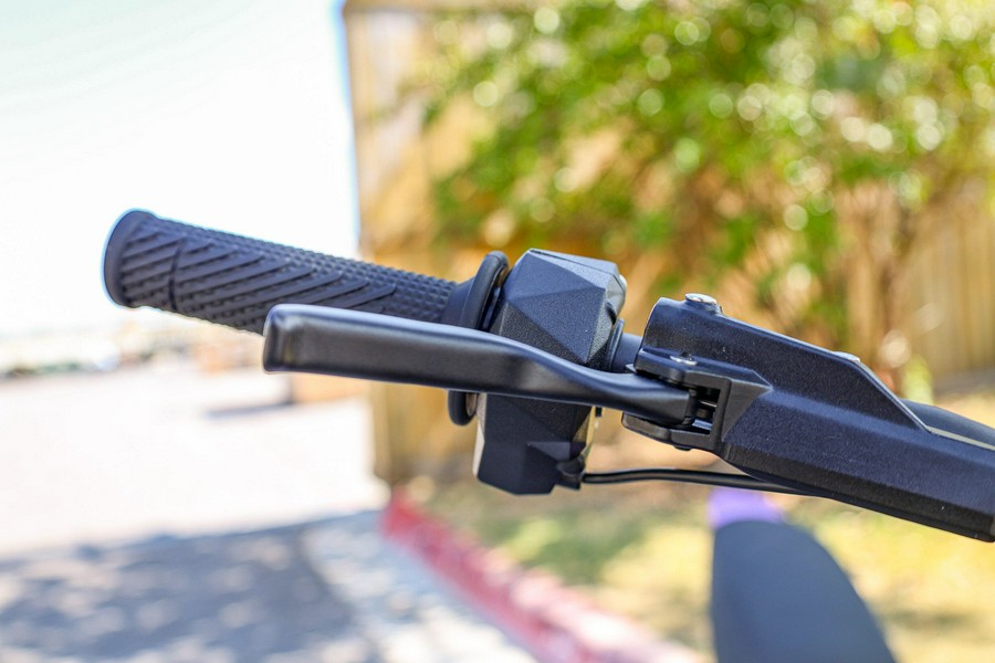 2025 79 BIKE FALCON PRO