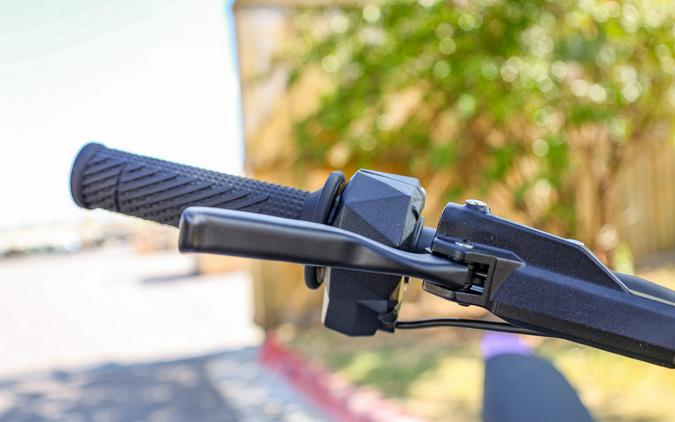 2025 79 BIKE FALCON PRO