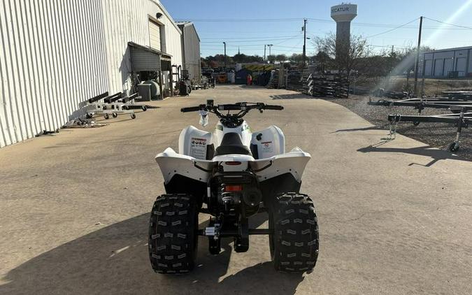 2026 Kawasaki KFX®90