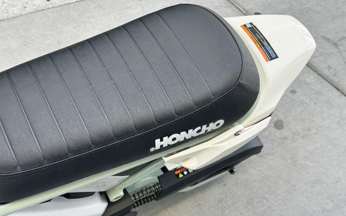 2027 Livewire S4 Honcho Trail