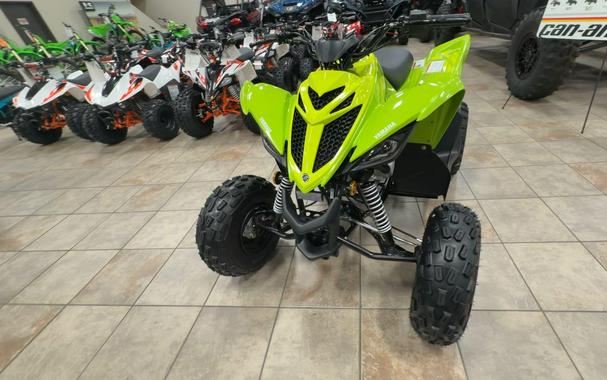 2026 Yamaha RAPTOR 110