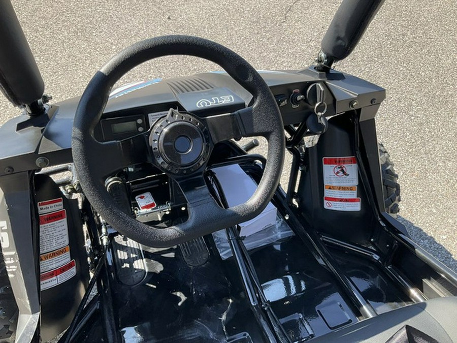 2025 Trailmaster CHEETAH I6