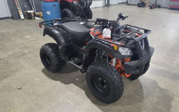 2026 Kayo Bull 150 EFI