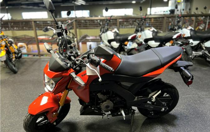 2025 Kawasaki Z125 PRO