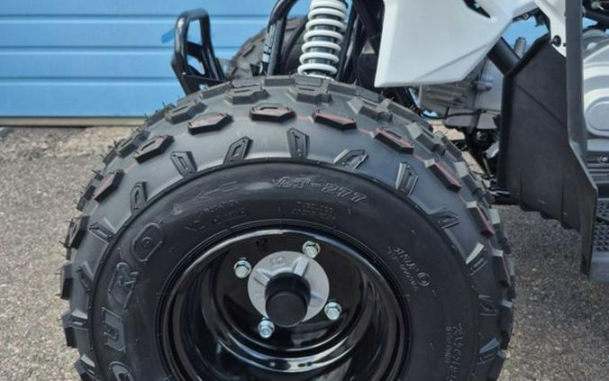 2025 Polaris® Outlaw 110 EFI