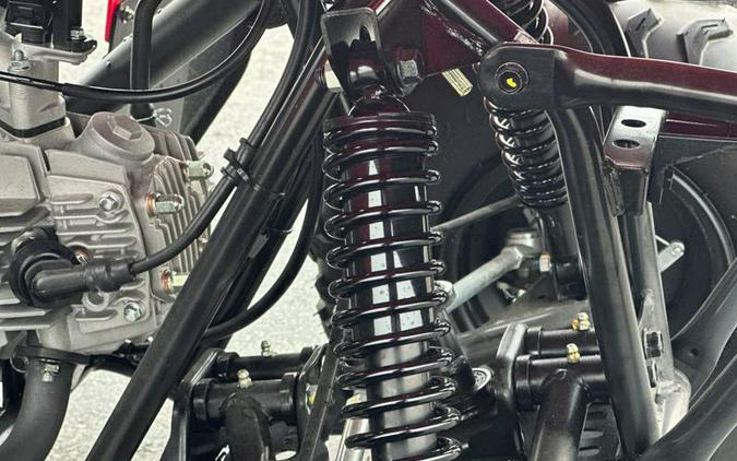 2025 Yamaha Grizzly 110