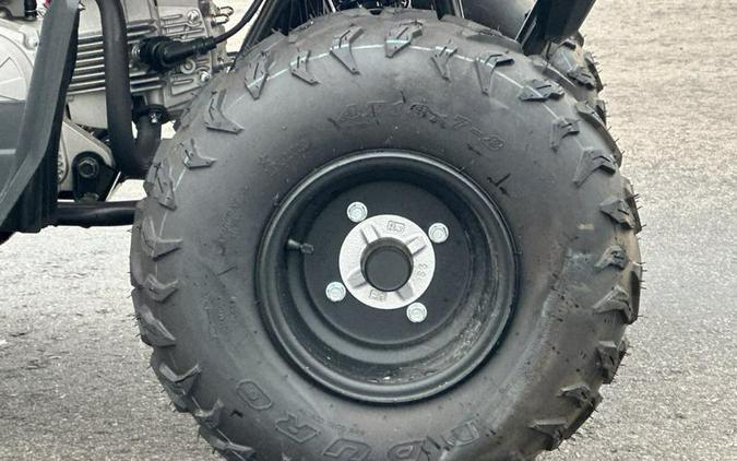 2025 Yamaha Grizzly 110