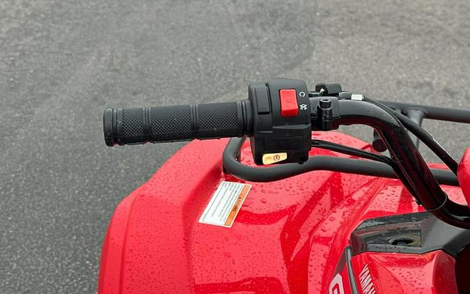 2025 Yamaha Grizzly 110