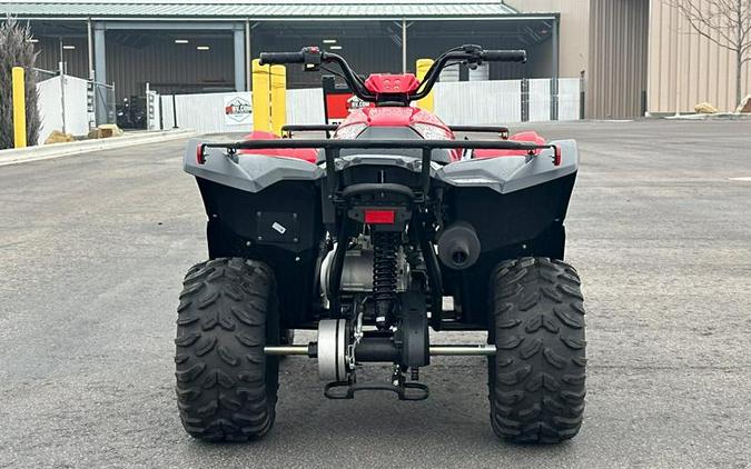 2025 Yamaha Grizzly 110