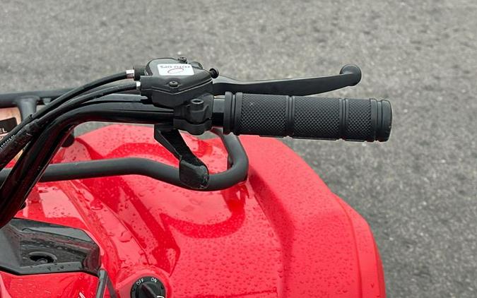 2025 Yamaha Grizzly 110