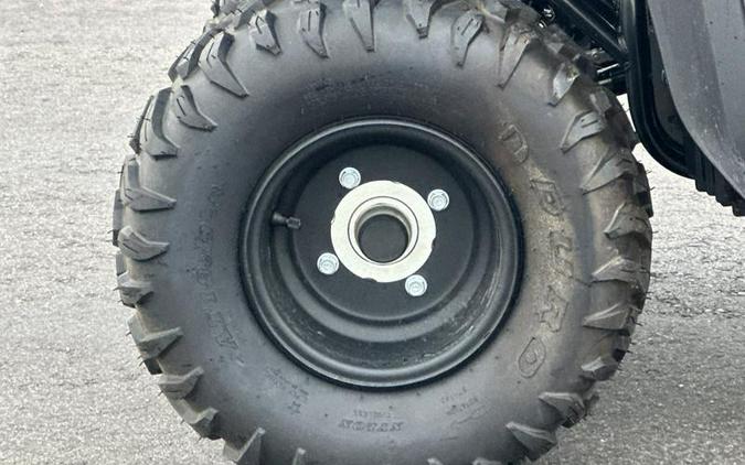 2025 Yamaha Grizzly 110