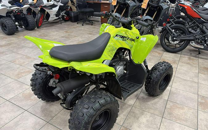 2026 Yamaha RAPTOR 110