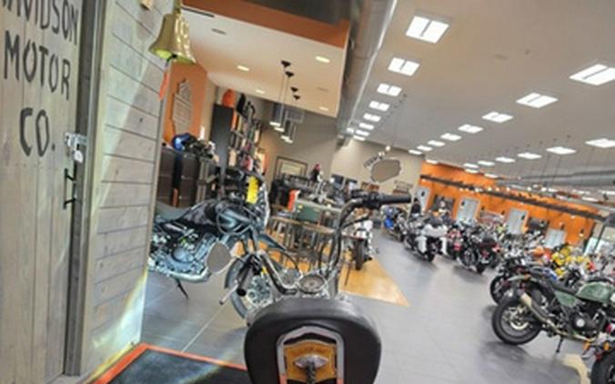 2009 Harley-Davidson Softail FLSTC - Heritage