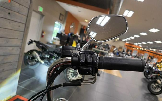 2009 Harley-Davidson Softail FLSTC - Heritage