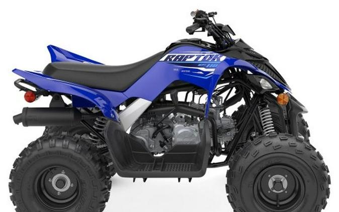 2026 Yamaha Motor Corp., USA Raptor 110