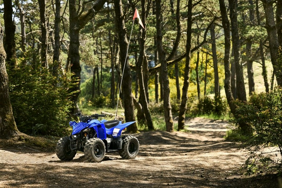 2027 Yamaha YFZ50