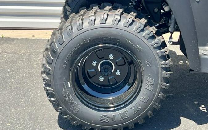 2026 Kawasaki Brute Force® 300