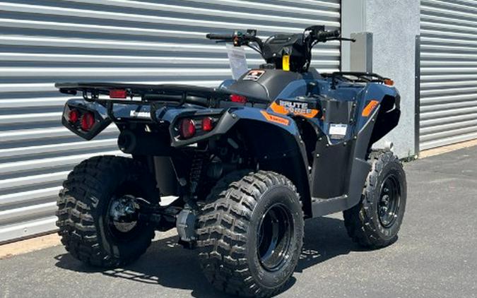 2026 Kawasaki Brute Force® 300