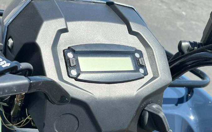 2026 Kawasaki Brute Force® 300