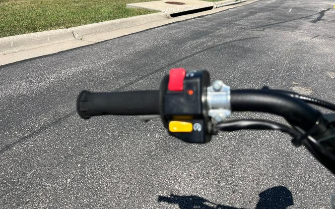 2022 Kawasaki KLX110R L